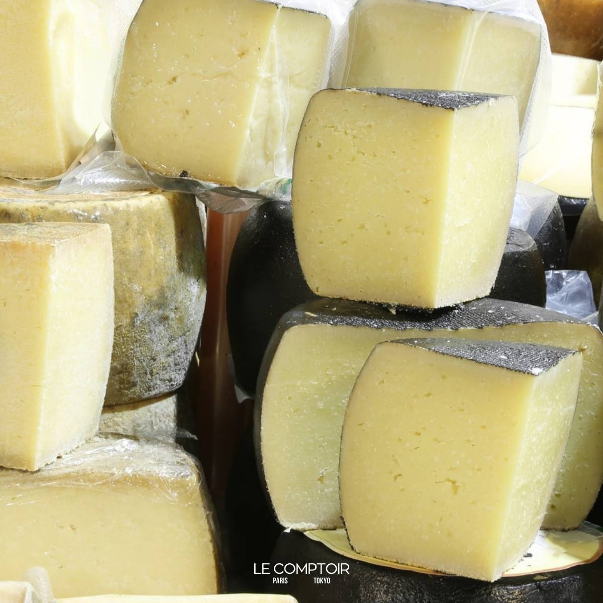 ペコリーノ・ロマーノ • Pecorino Romano • チーズとワイン専門店 Le Comptoir