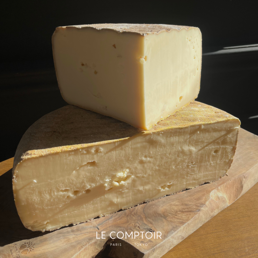 トム・ブルビ・ヴァッシュ